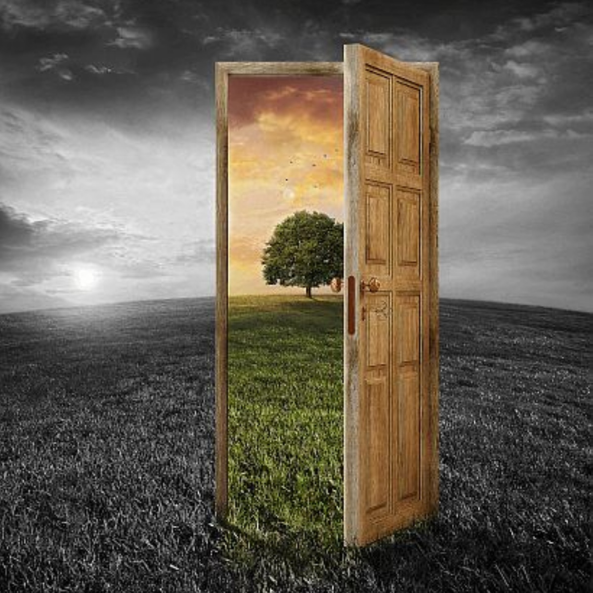 Leicester Grammar School Doors of opportunity